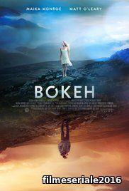 Bokeh (2017) Online Subtitrat